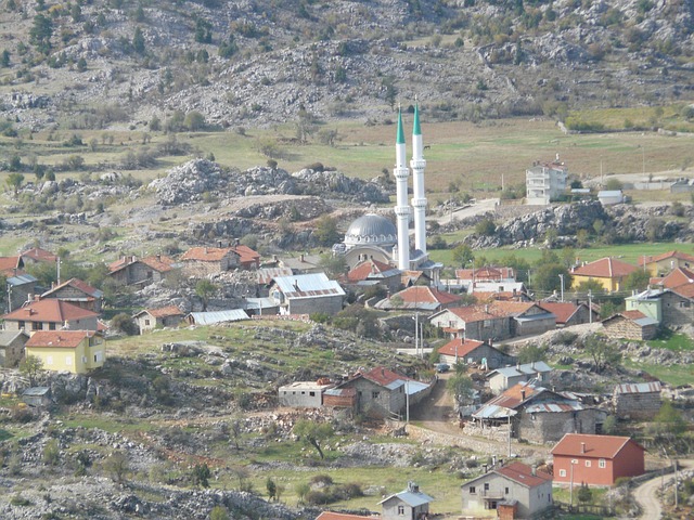 Cami İmamı