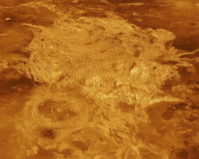 Venüs