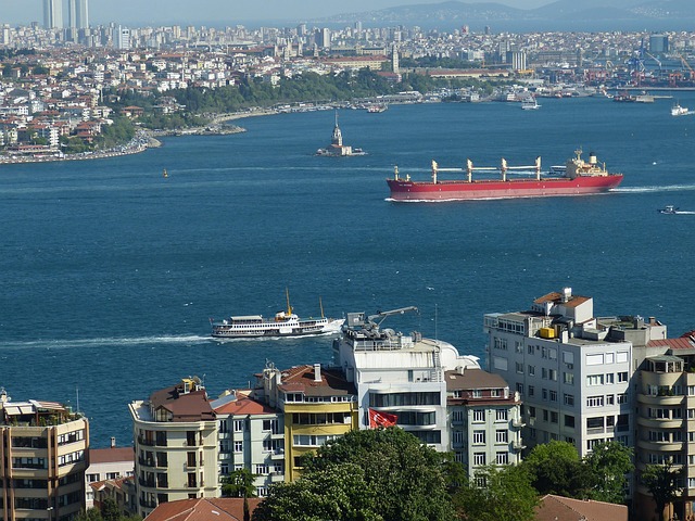 Ziyaret izni