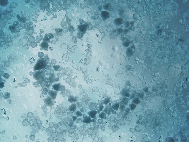 Dolu