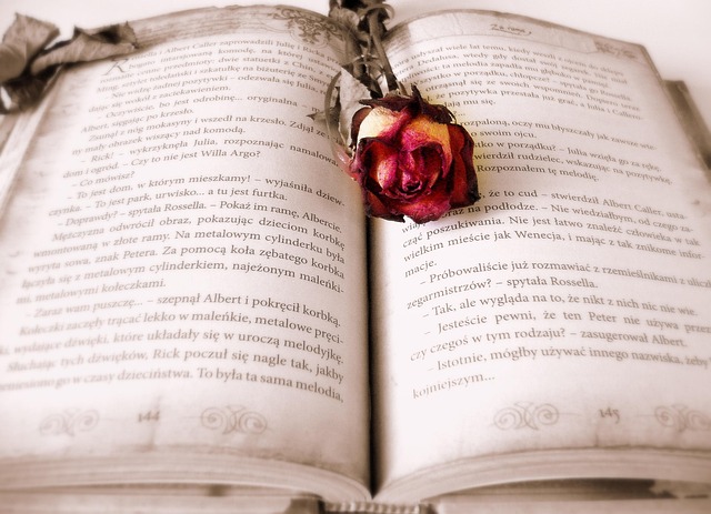 Kitap