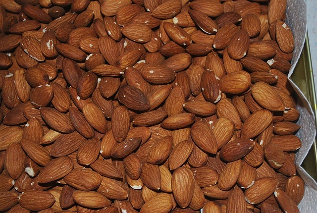 acı badem toplamak
